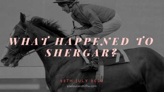 Shergar Correct